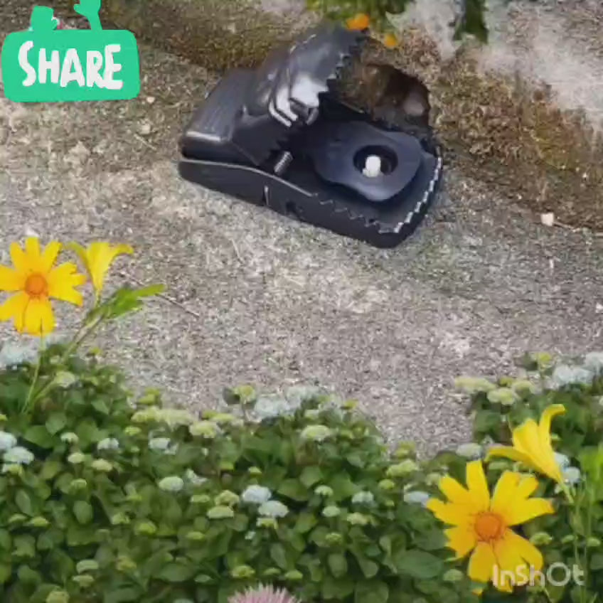 2PC Smart Mouse Catcher | Heavy-Duty Reusable Rat Trap with Strong Grip